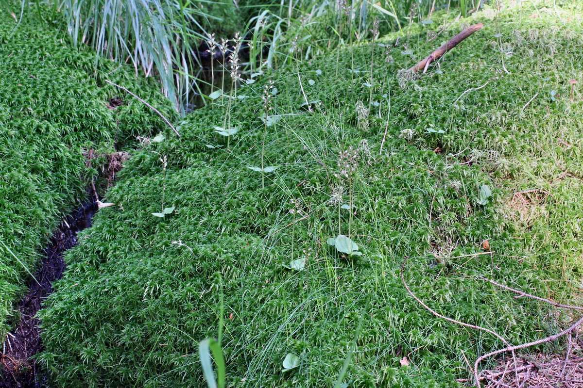 2014_06_18_00047094p_Bildgr��e �ndern