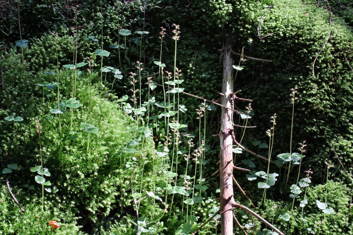 2014_06_18_00047104p_Bildgr��e �ndern