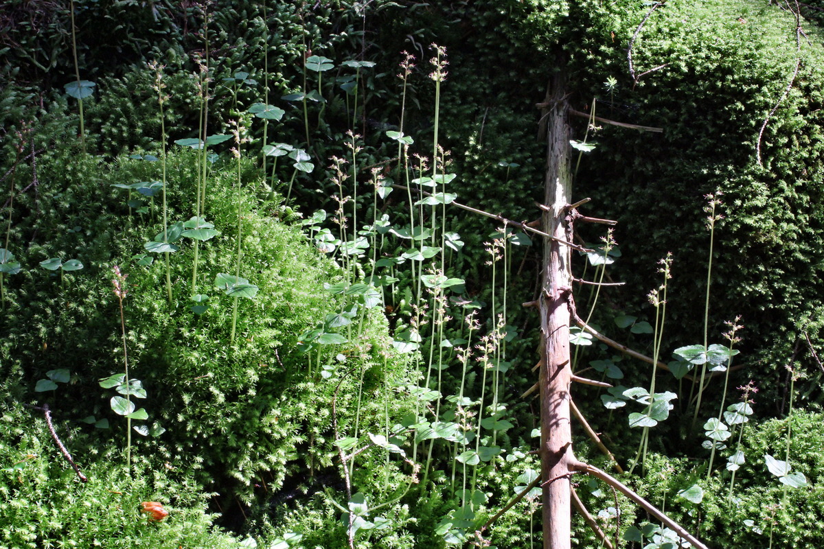 2014_06_18_00047111p_Bildgr��e �ndern