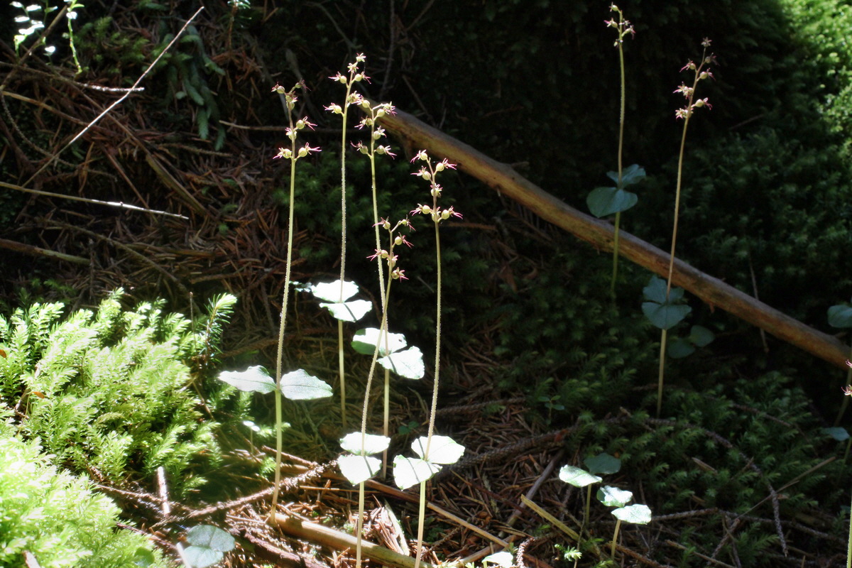 2014_06_18_00047125p_Bildgr��e �ndern