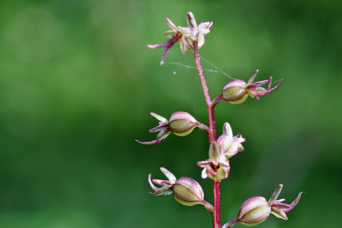 2014_06_18_00047139p_Bildgr��e �ndern