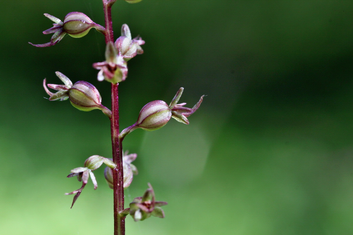 2014_06_18_00047152p_Bildgr��e �ndern