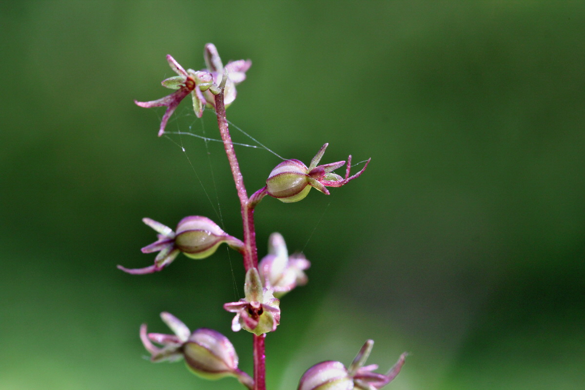 2014_06_18_00047161p_Bildgr��e �ndern