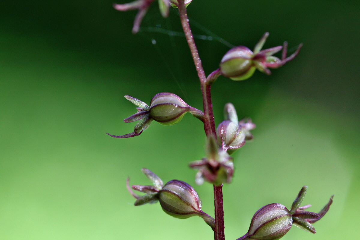 2014_06_18_00047162p_Bildgr��e �ndern