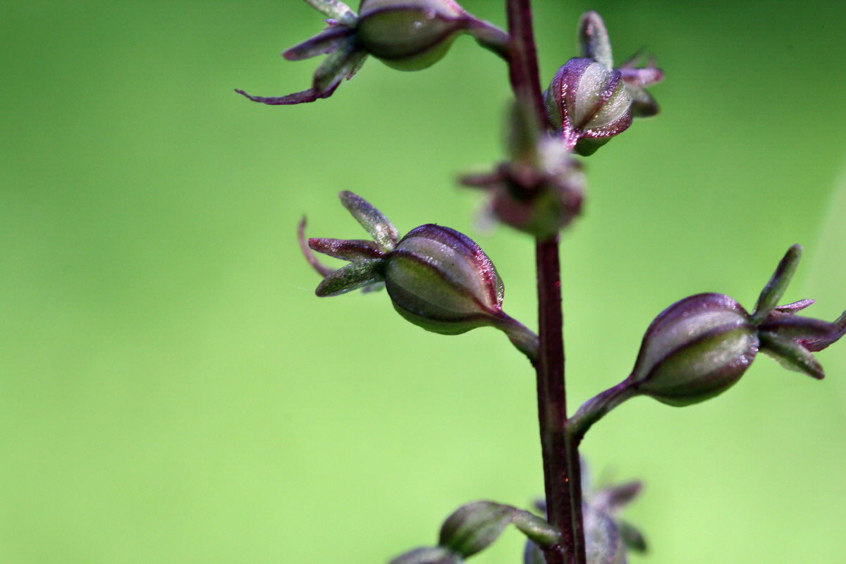 2014_06_18_00047167p_Bildgr��e �ndern