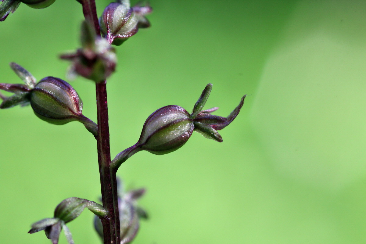 2014_06_18_00047172p_Bildgr��e �ndern