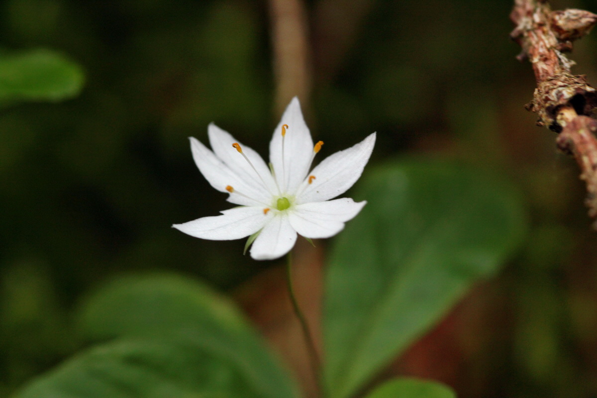 2014_06_18_00047186p_Bildgr��e �ndern