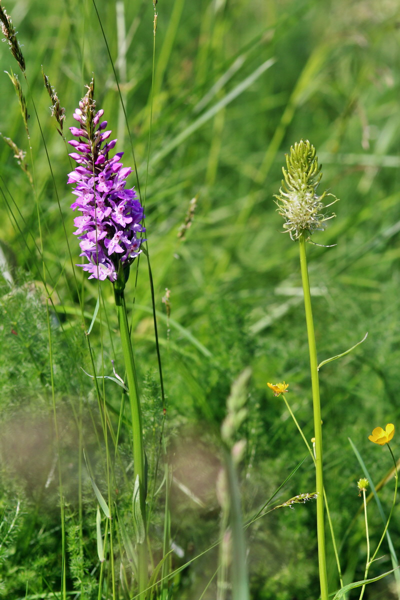 2014_06_18_00047196p_Bildgr��e �ndern