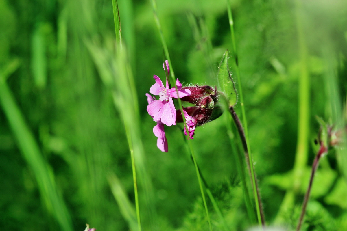 2014_06_18_00047199p_Bildgr��e �ndern