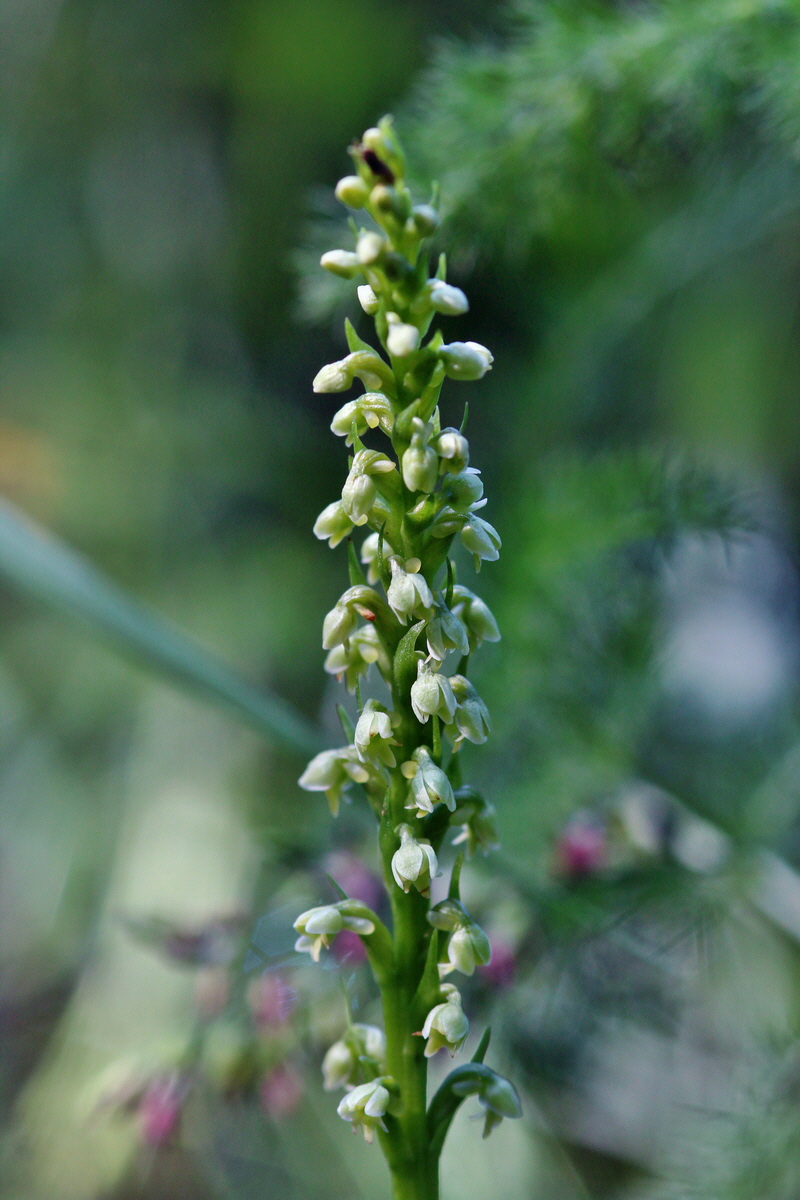 2014_06_18_00047201p_Bildgr��e �ndern