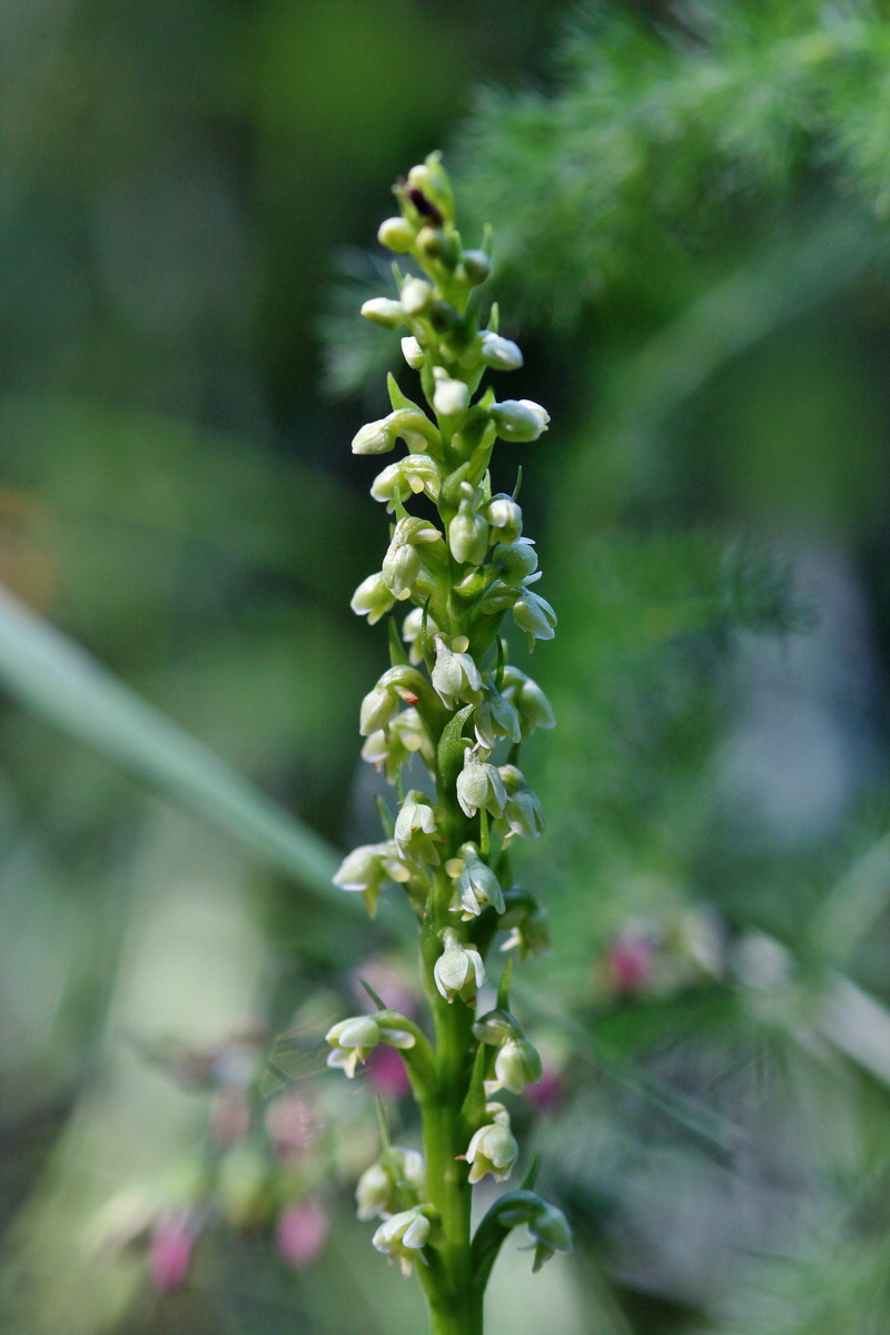 2014_06_18_00047205p_Bildgr��e �ndern