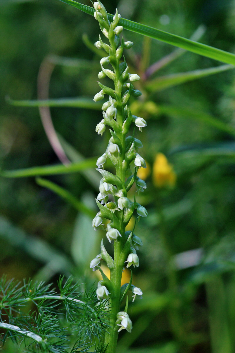 2014_06_18_00047210p_Bildgr��e �ndern