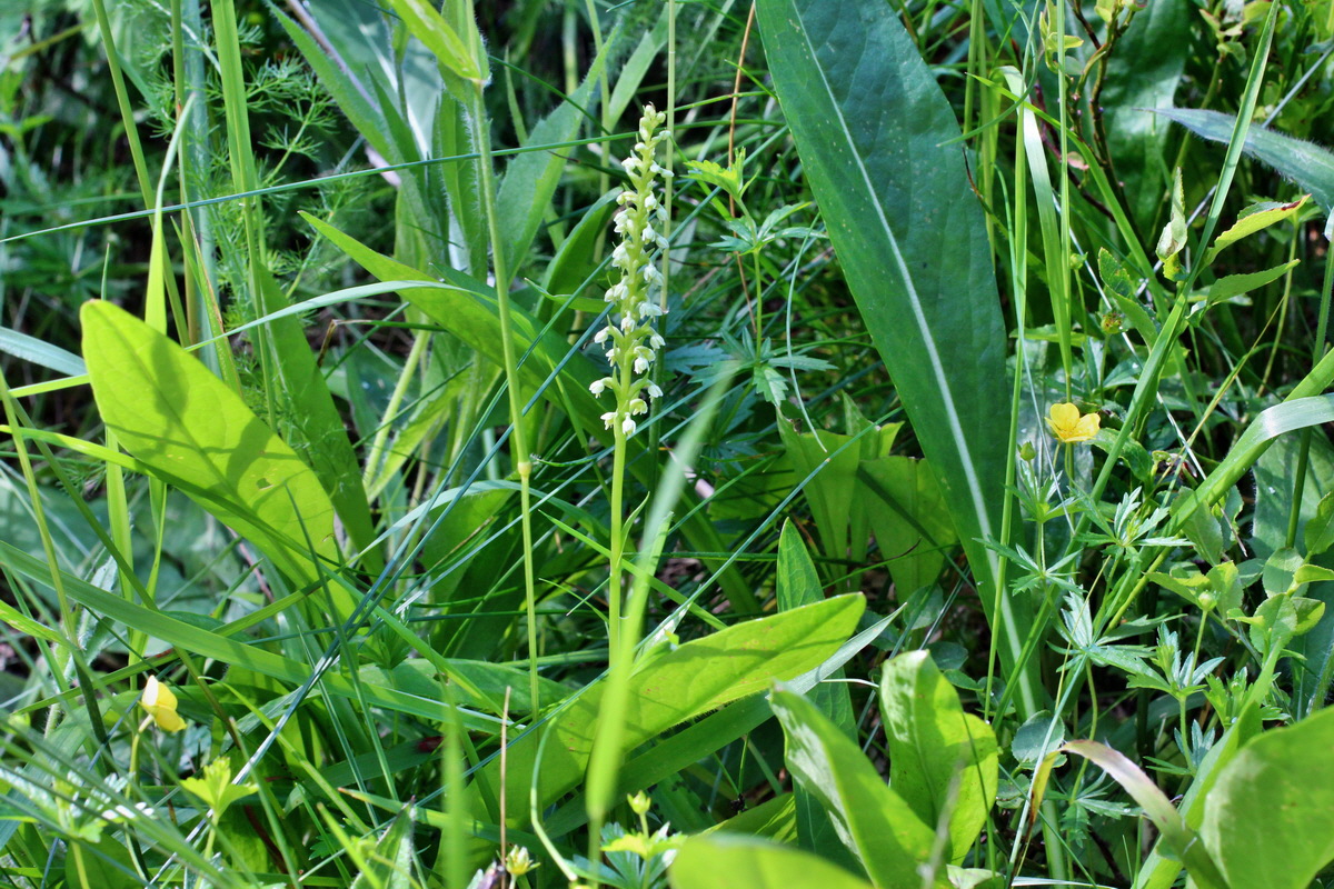 2014_06_18_00047219p_Bildgr��e �ndern