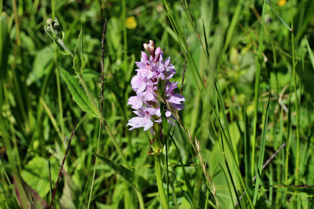 2014_06_18_00047221p_Bildgr��e �ndern