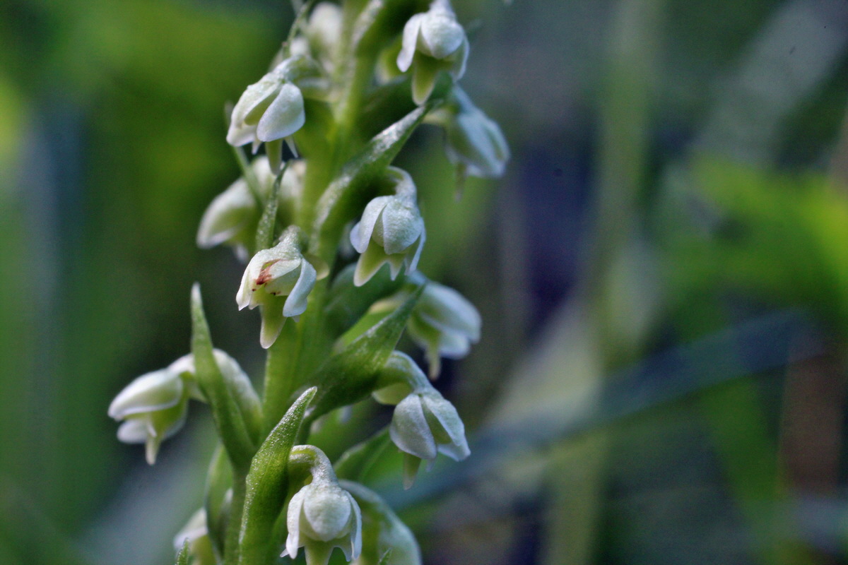 2014_06_18_00047227p_Bildgr��e �ndern