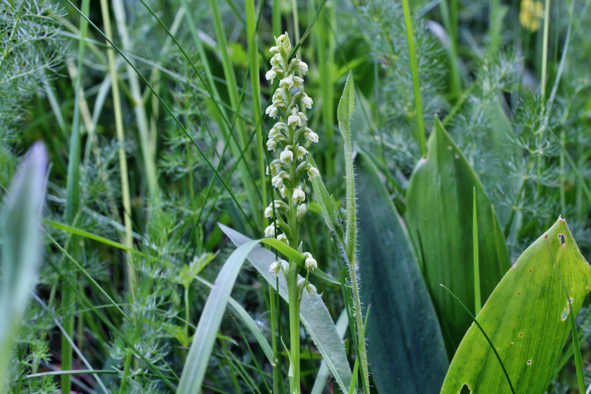 2014_06_18_00047248p_Bildgr��e �ndern