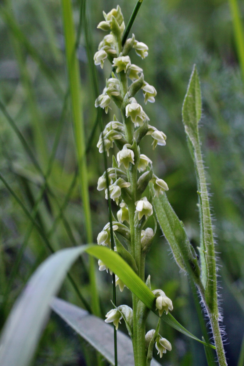 2014_06_18_00047252p_Bildgr��e �ndern