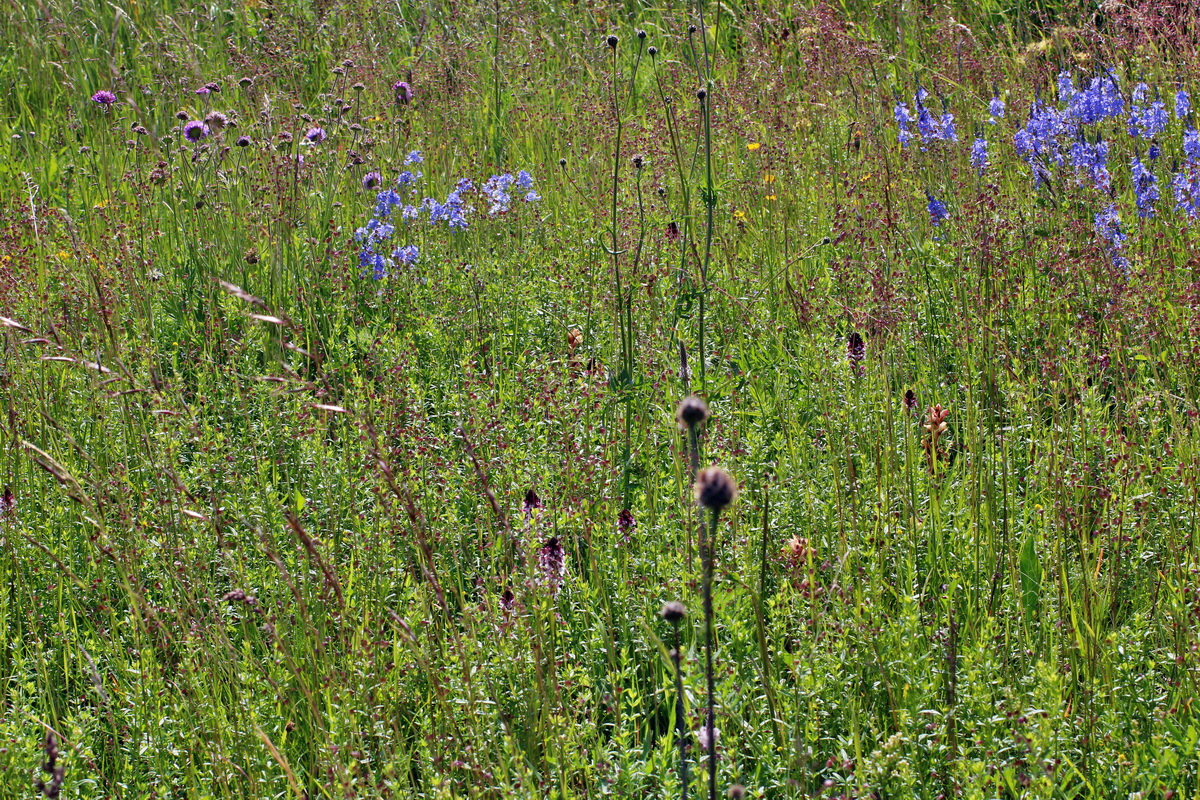 2014_06_18_00047265p_Bildgr��e �ndern