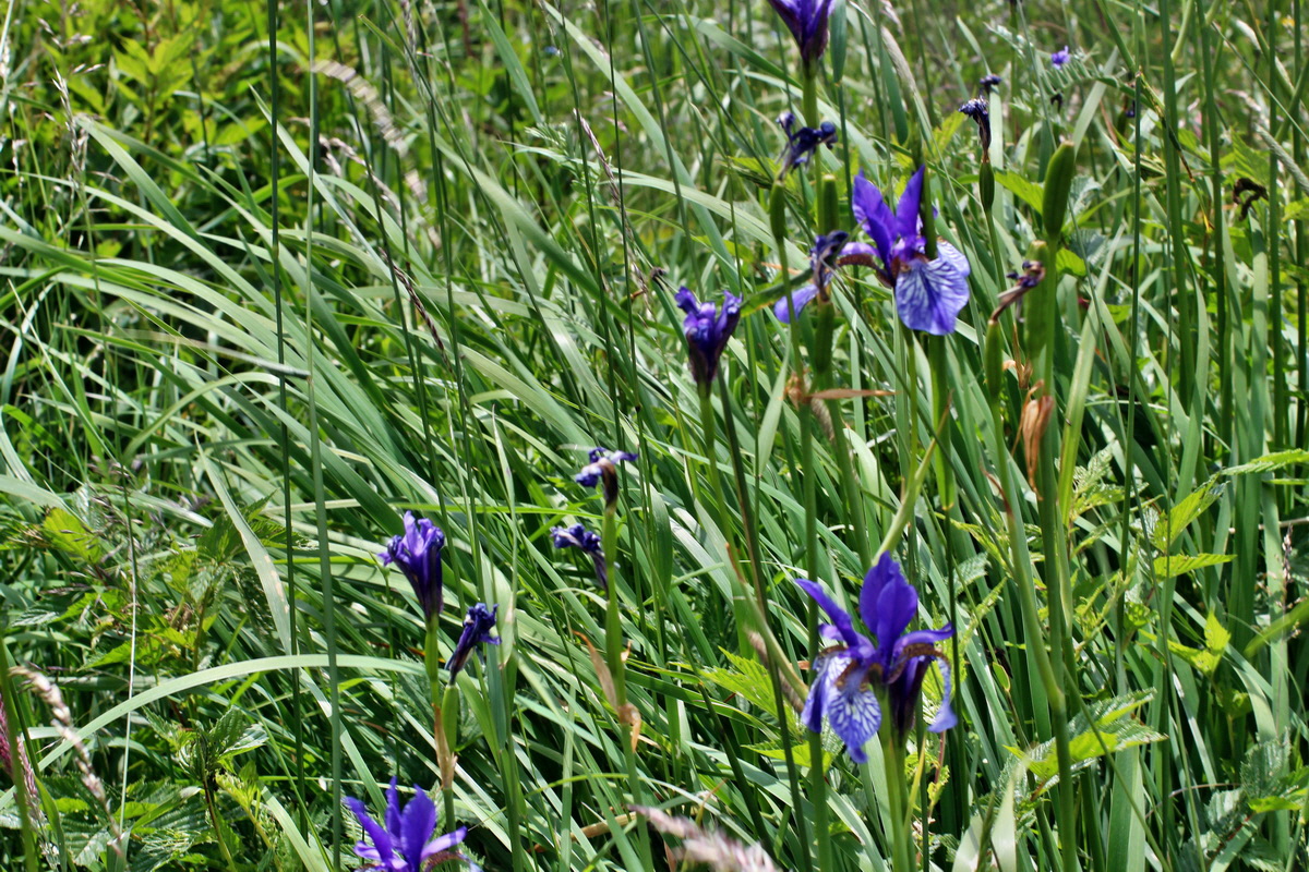 2014_06_18_00047272p_Bildgr��e �ndern