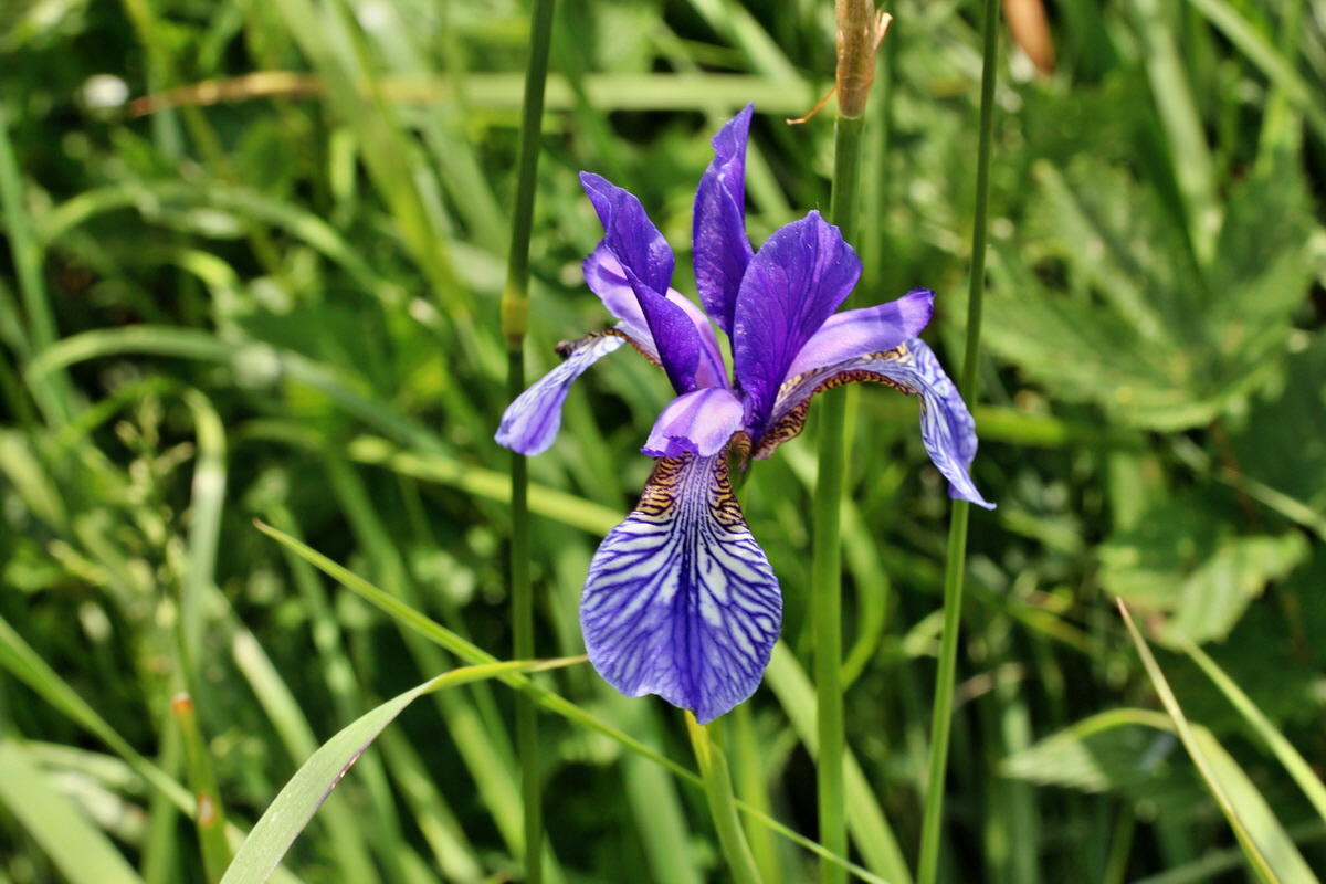 2014_06_18_00047276p_Bildgr��e �ndern