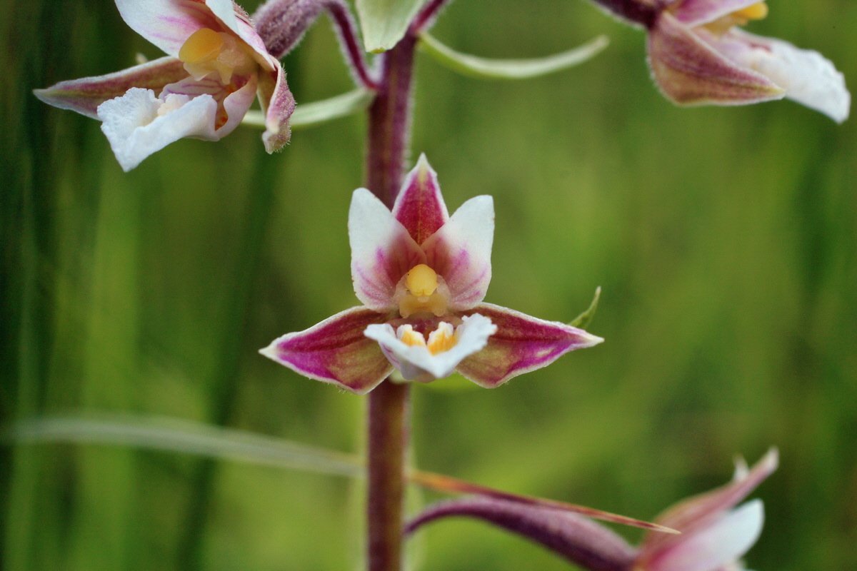 2014_06_23_00047289p_Bildgr��e �ndern