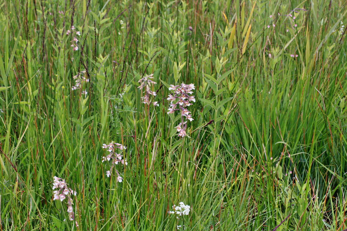 2014_06_23_00047292p_Bildgr��e �ndern