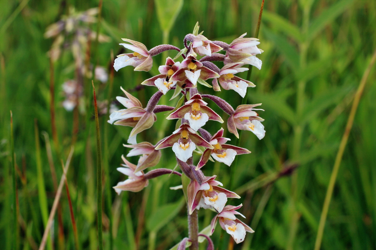 2014_06_23_00047297p_Bildgr��e �ndern