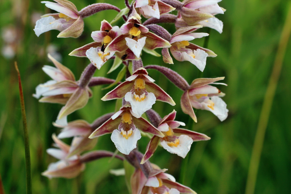 2014_06_23_00047301p_Bildgr��e �ndern