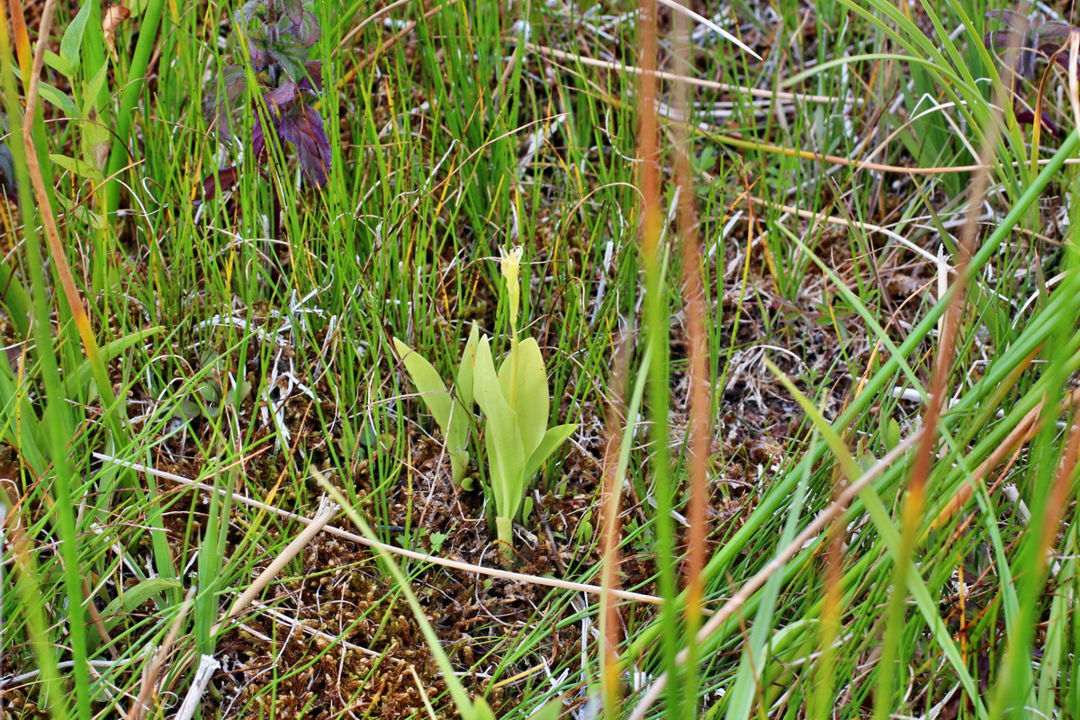 2014_06_23_00047311p_Bildgr��e �ndern