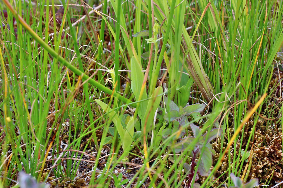 2014_06_23_00047313p_Bildgr��e �ndern