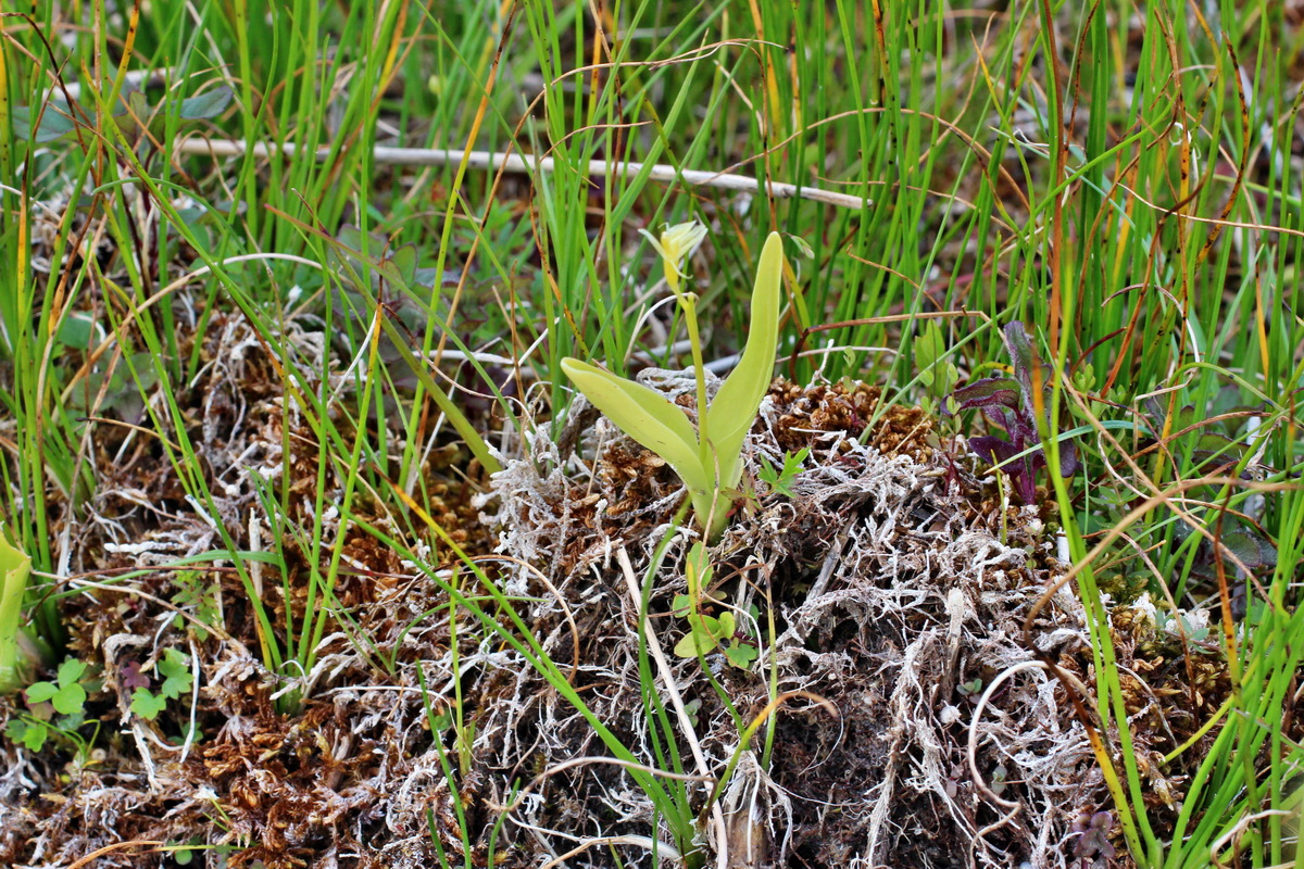 2014_06_23_00047317p_Bildgr��e �ndern