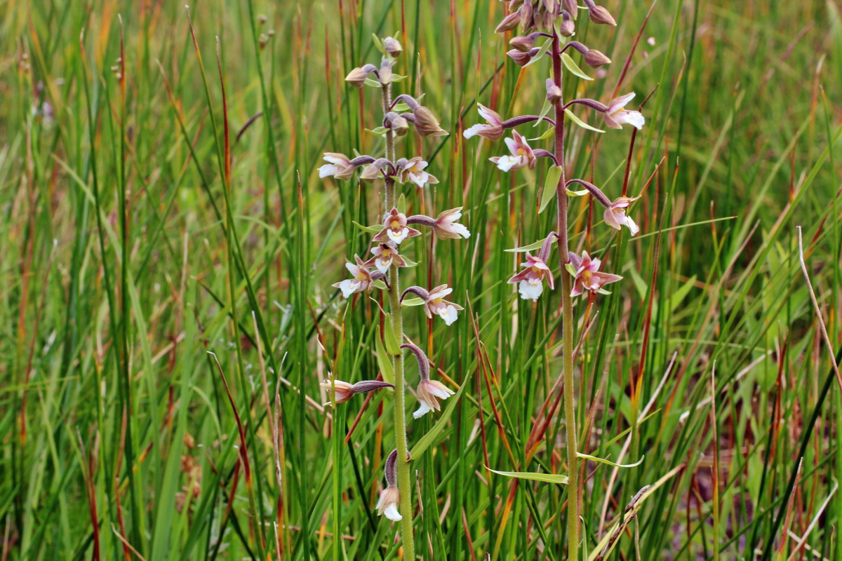 2014_06_23_00047325p_Bildgr��e �ndern