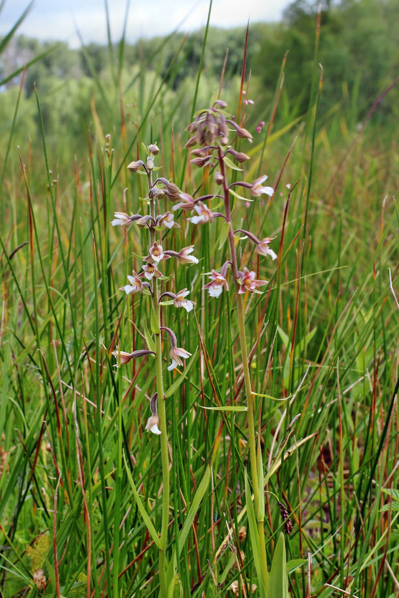 2014_06_23_00047328p_Bildgr��e �ndern