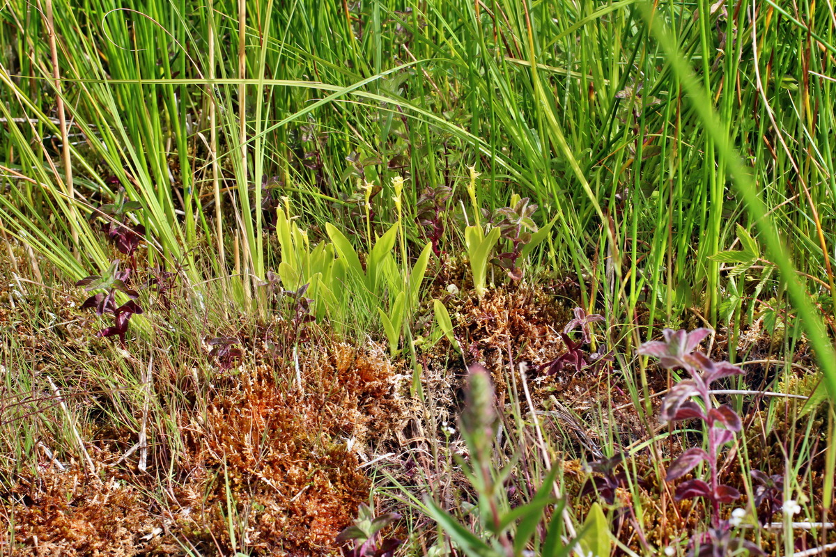 2014_06_23_00047333p_Bildgr��e �ndern