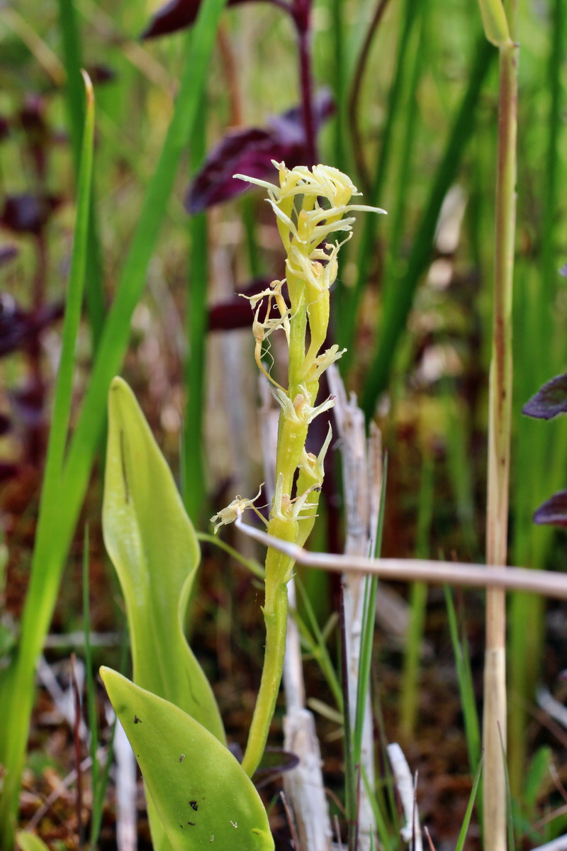 2014_06_23_00047337p_Bildgr��e �ndern