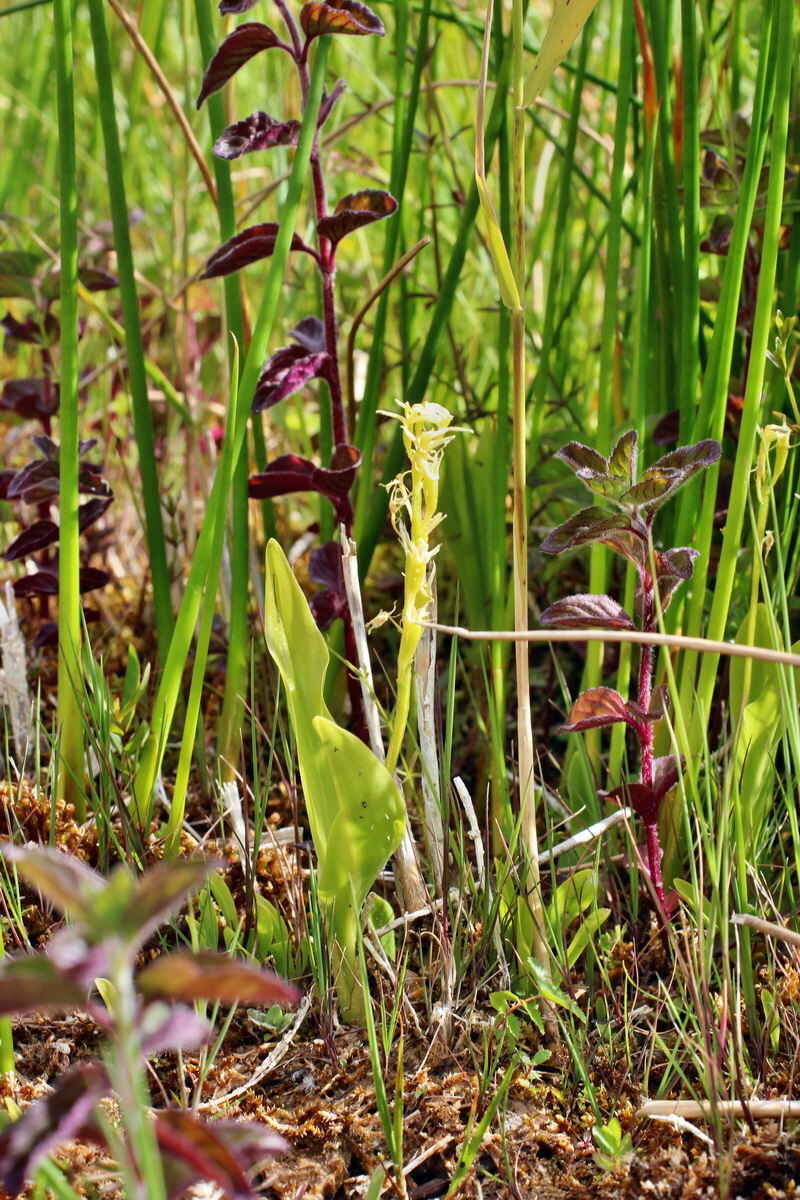 2014_06_23_00047341p_Bildgr��e �ndern