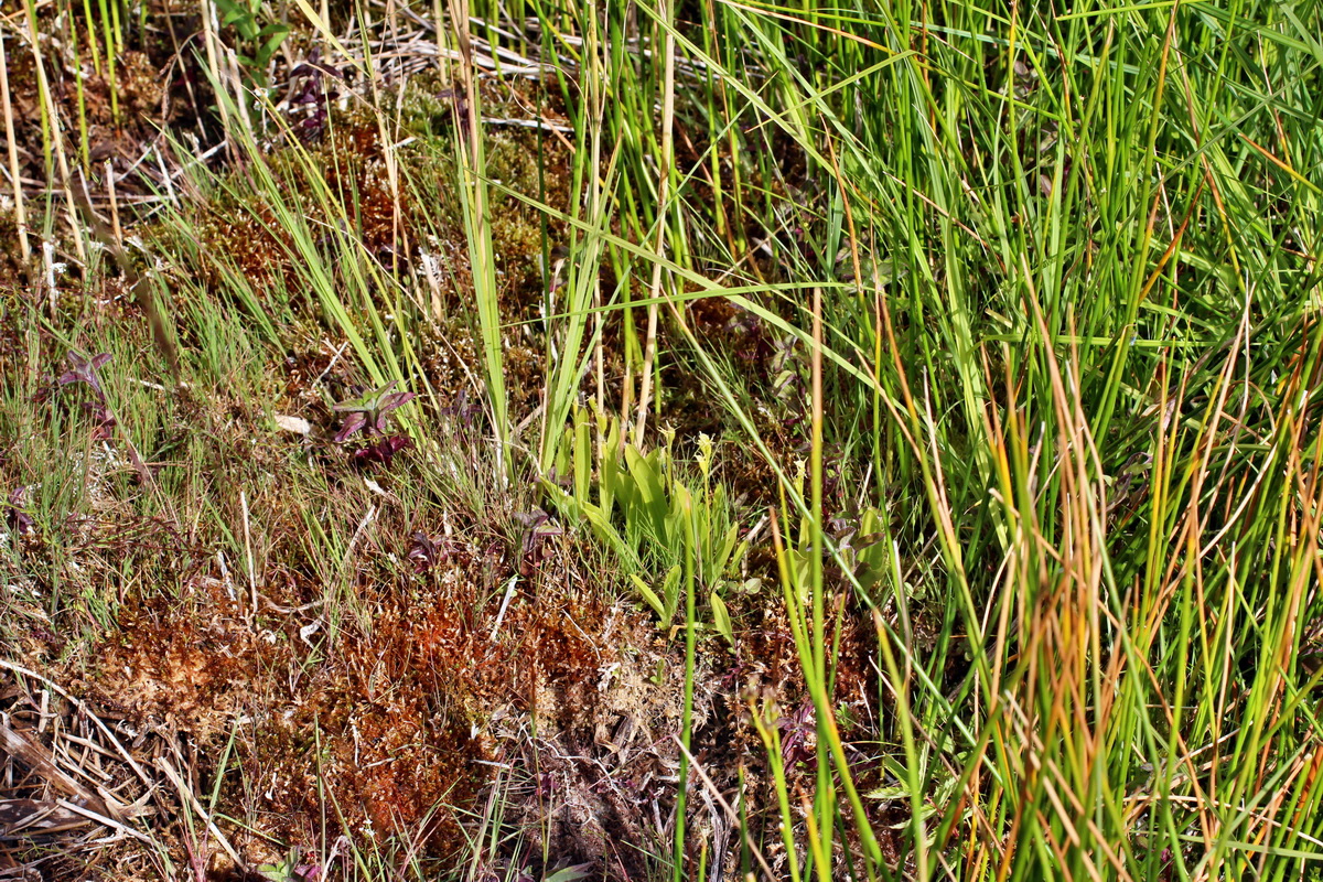 2014_06_23_00047348p_Bildgr��e �ndern