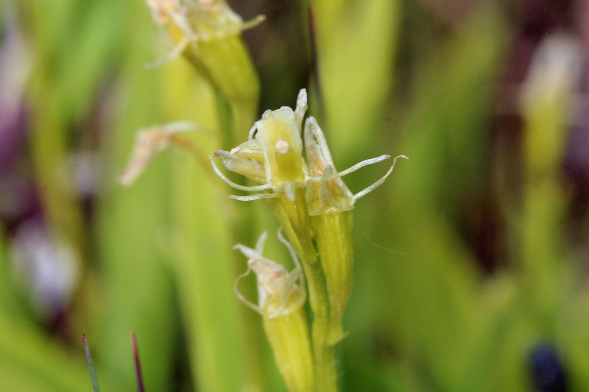 2014_06_23_00047349p_Bildgr��e �ndern