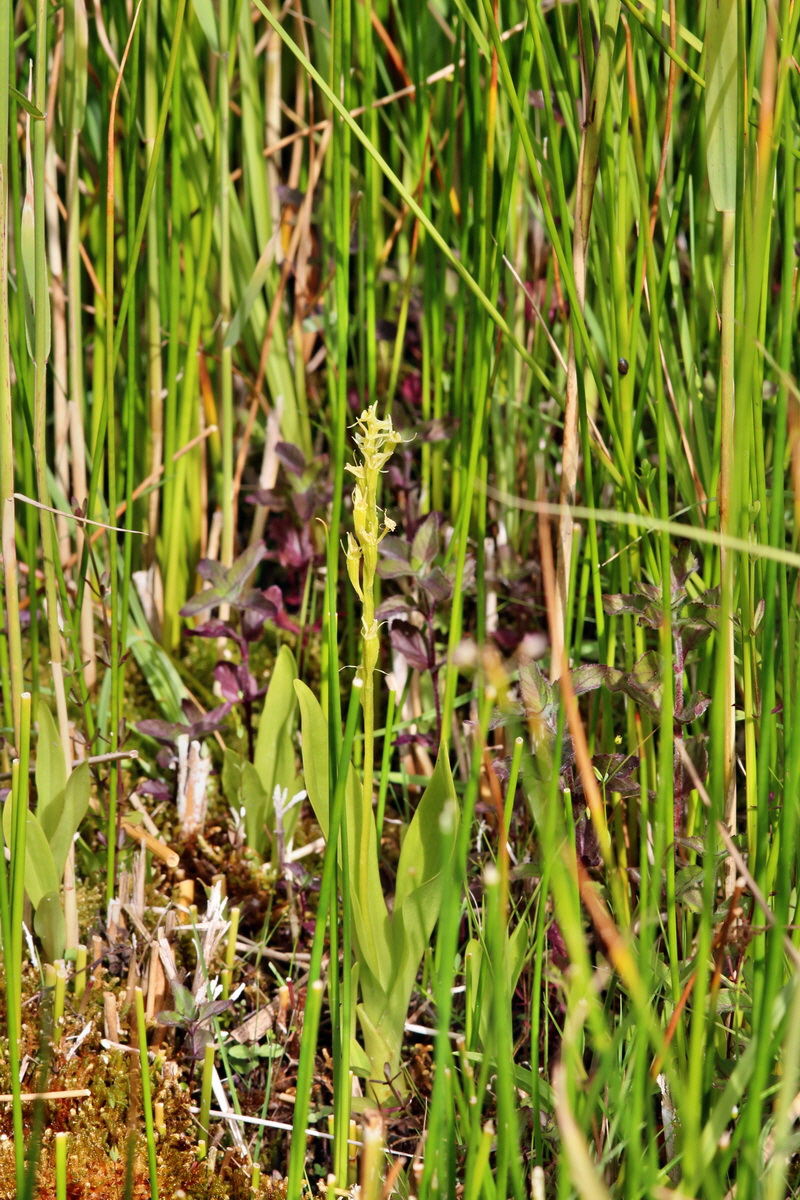 2014_06_23_00047359p_Bildgr��e �ndern