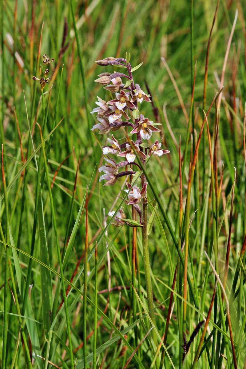 2014_06_23_00047364p_Bildgr��e �ndern