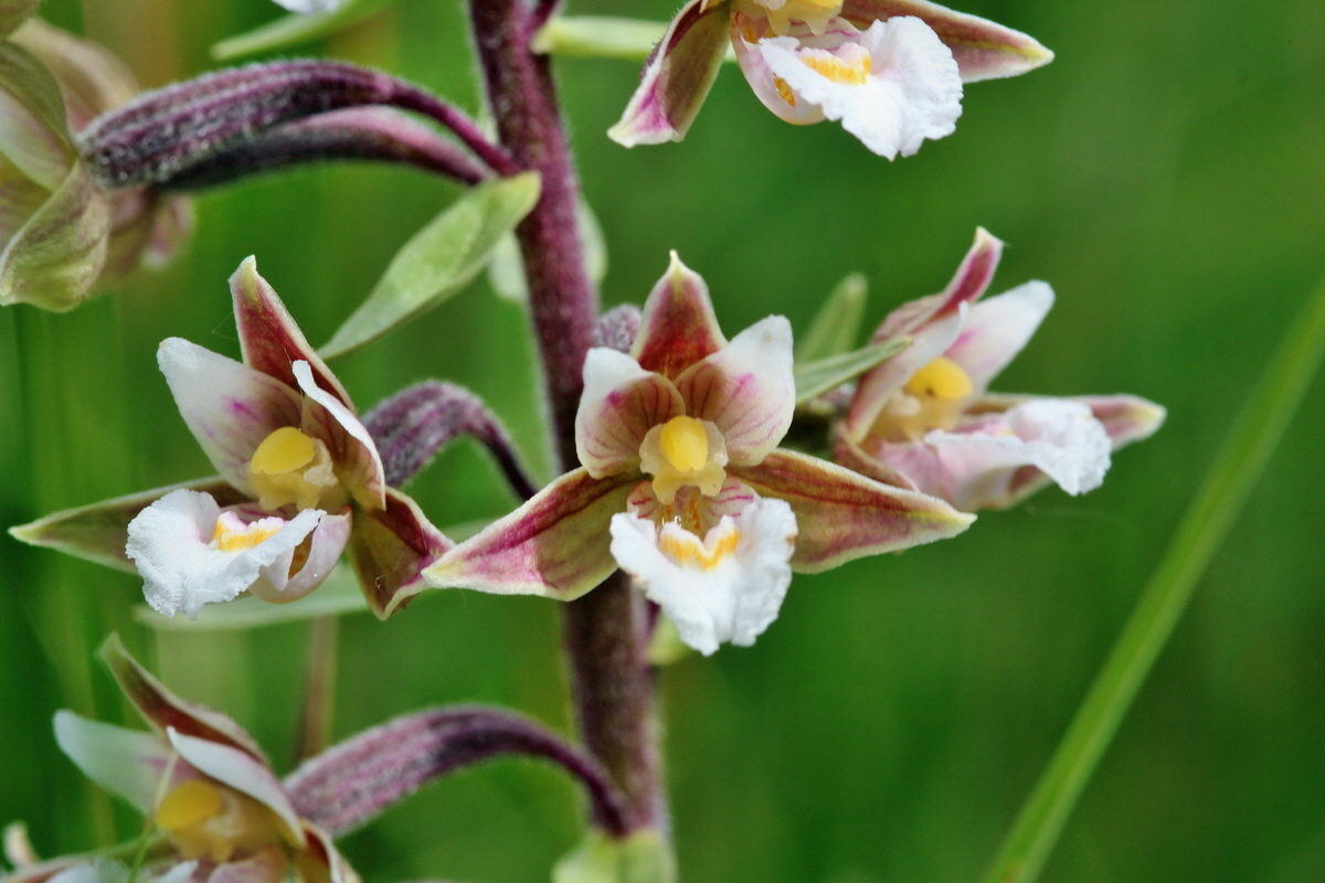 2014_06_23_00047368p_Bildgr��e �ndern