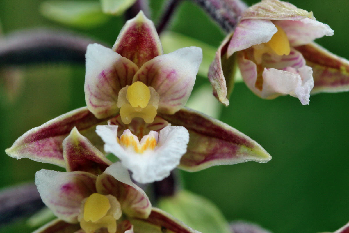 2014_06_23_00047378p_Bildgr��e �ndern