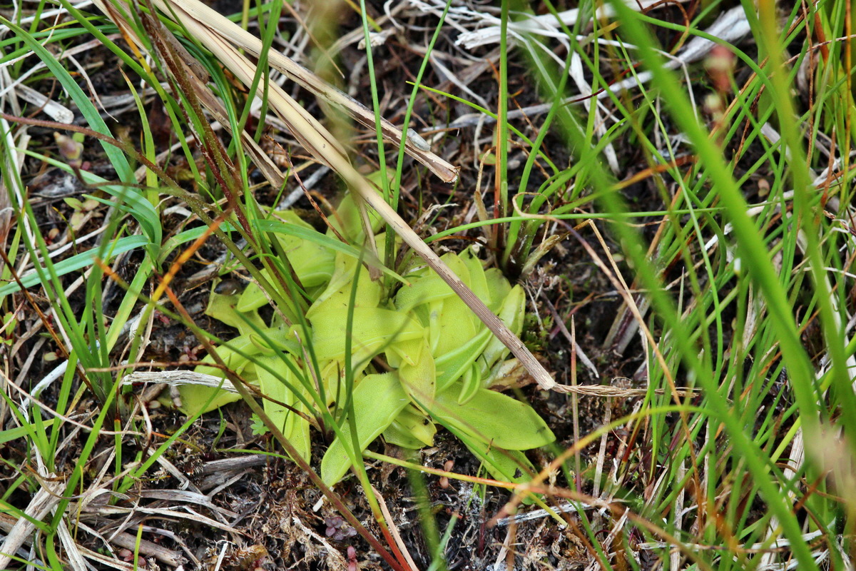 2014_06_23_00047386p_Bildgr��e �ndern