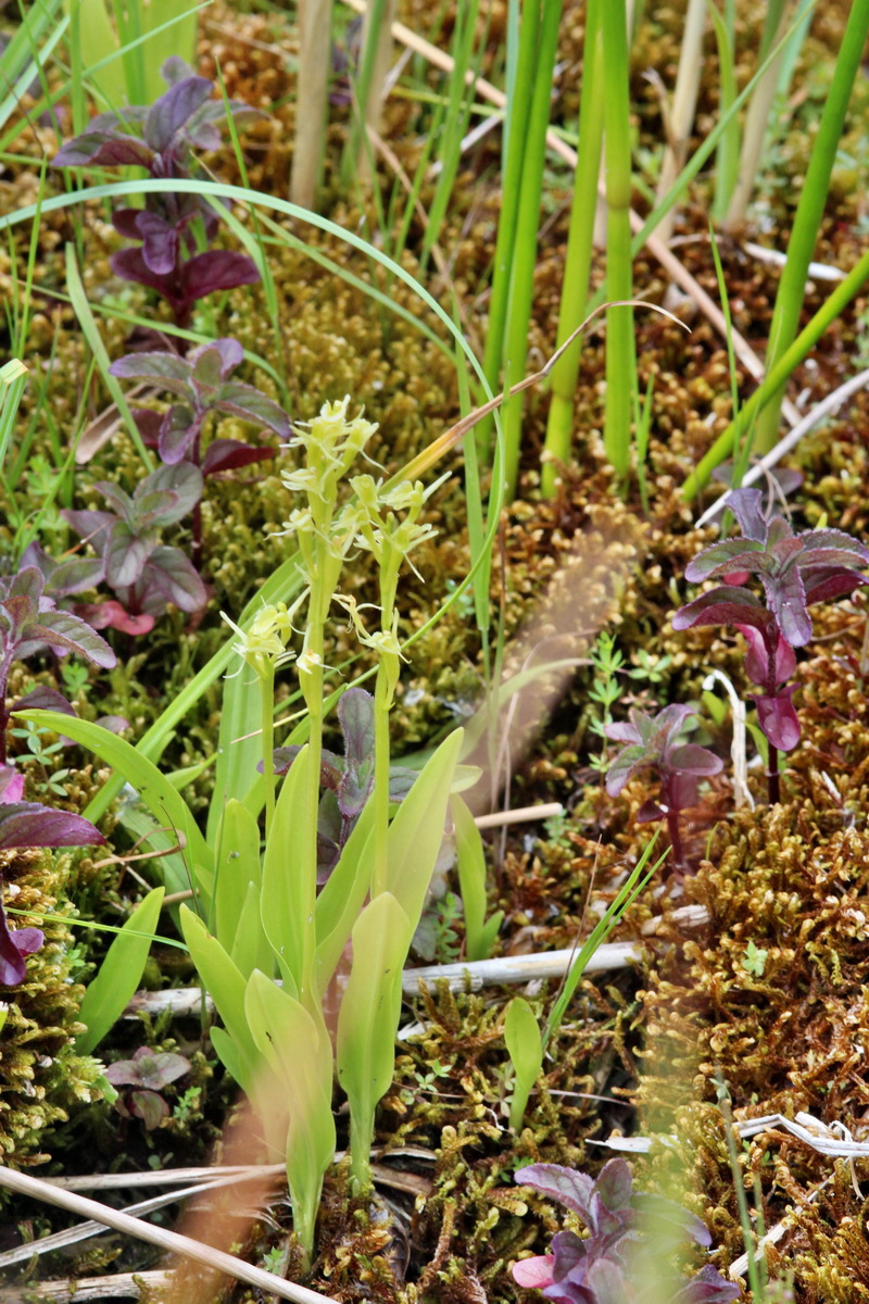 2014_06_23_00047396p_Bildgr��e �ndern