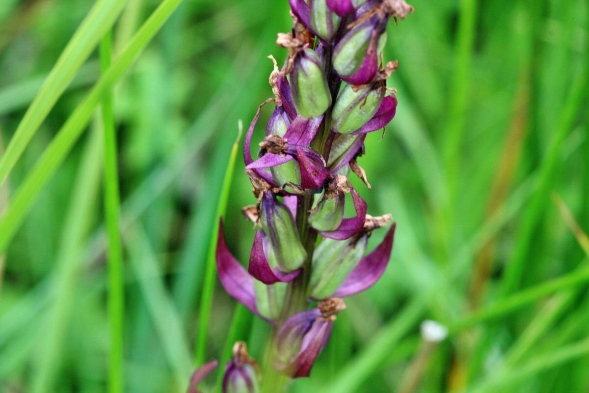 2014_06_23_00047410p_Bildgr��e �ndern