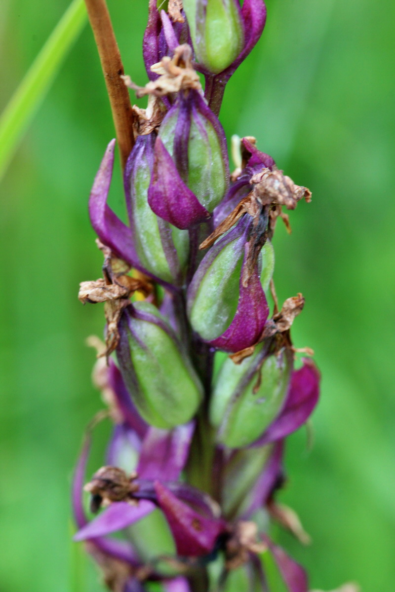 2014_06_23_00047414p_Bildgr��e �ndern