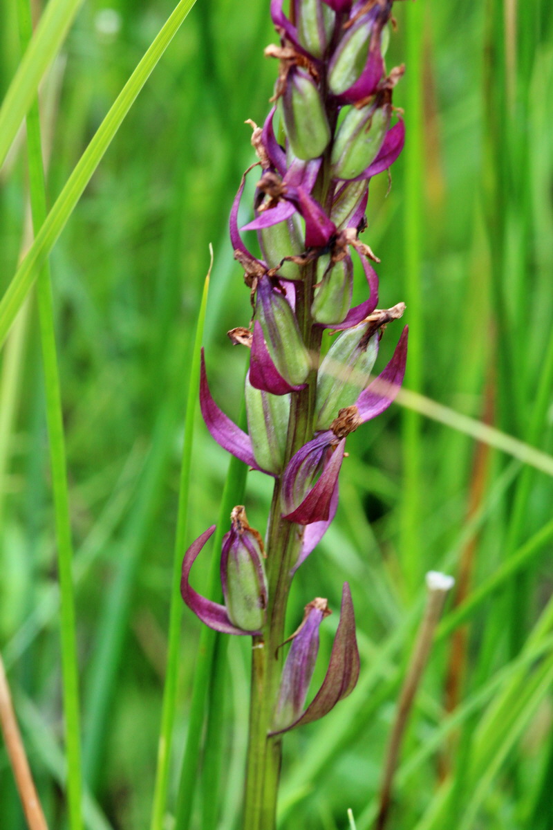 2014_06_23_00047418p_Bildgr��e �ndern