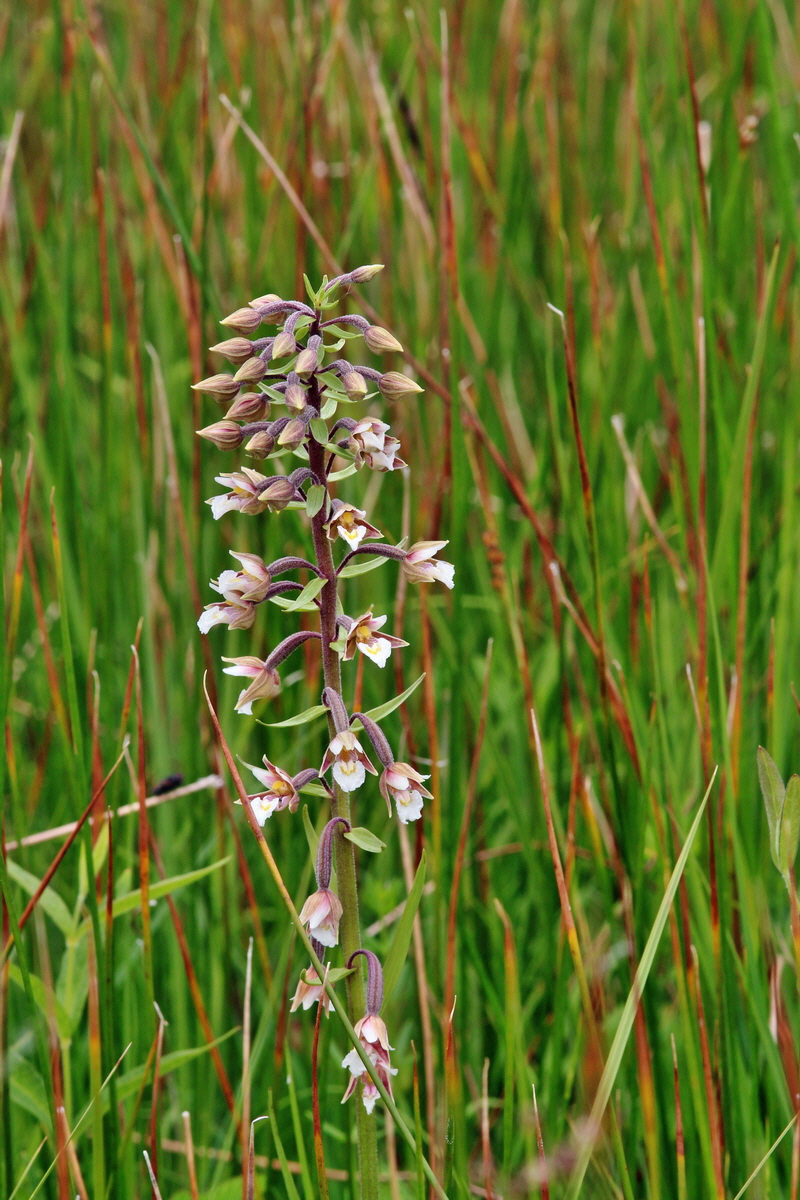 2014_06_23_00047421p_Bildgr��e �ndern