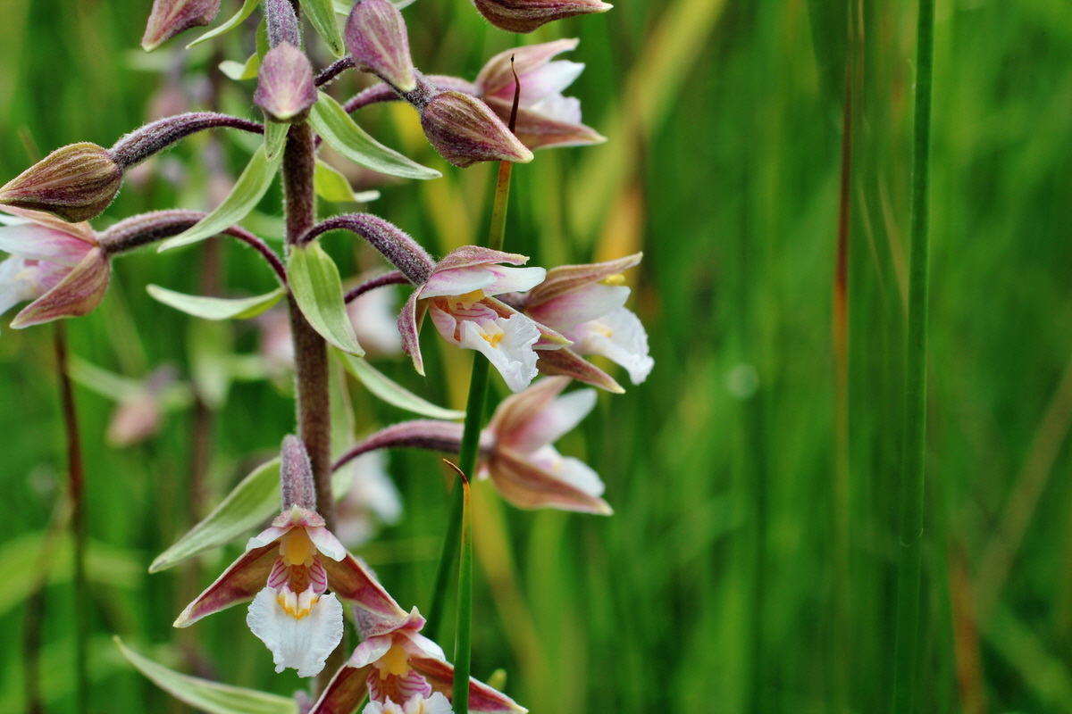 2014_06_23_00047429p_Bildgr��e �ndern