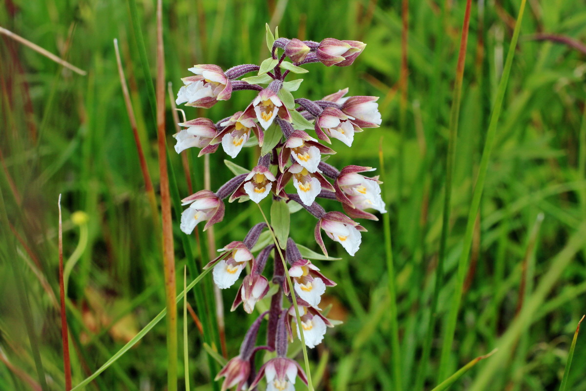 2014_06_23_00047450p_Bildgr��e �ndern